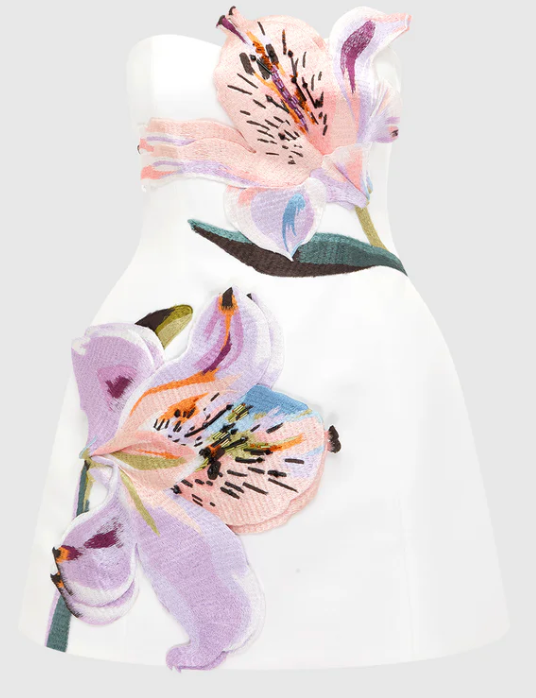 ROSARIO FLORAL BUSTIER MINI DRESS