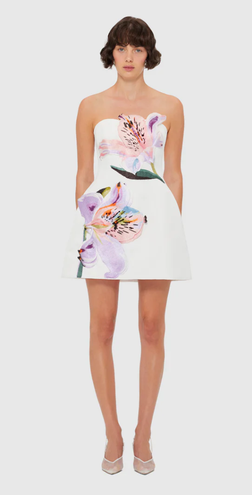 ROSARIO FLORAL BUSTIER MINI DRESS