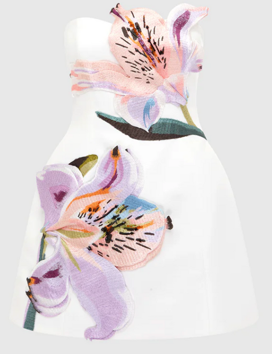 ROSARIO FLORAL BUSTIER MINI DRESS