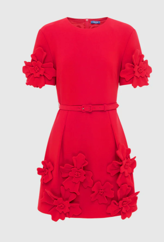 AURELIE MINI DRESS