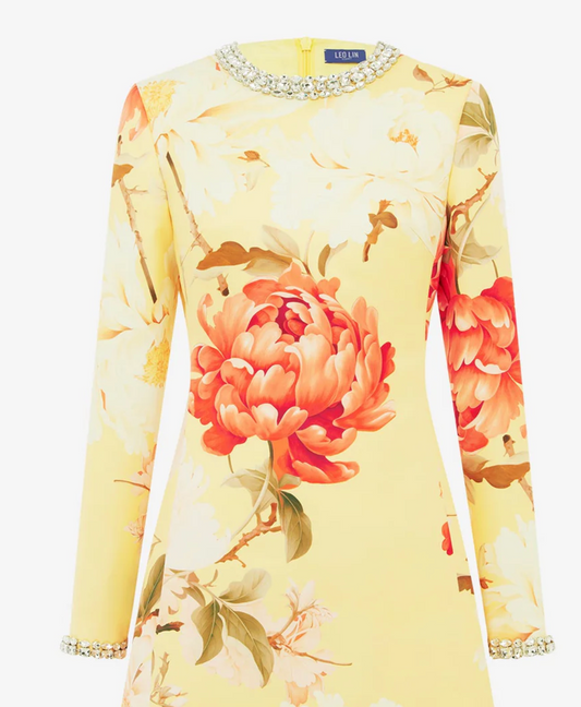 ALIZA DRESS