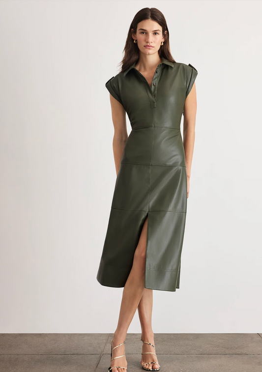 SHIVI DRESS